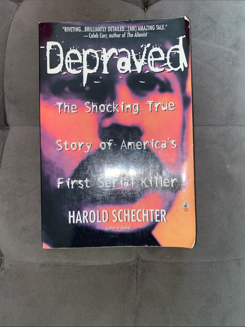 Depraved • Book by Harold Schechter • Paperback